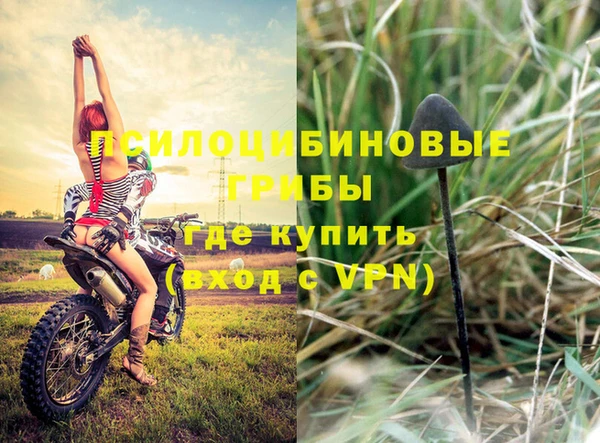 ешки Мегион