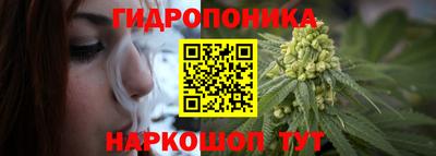 мяу мяу мука Гай