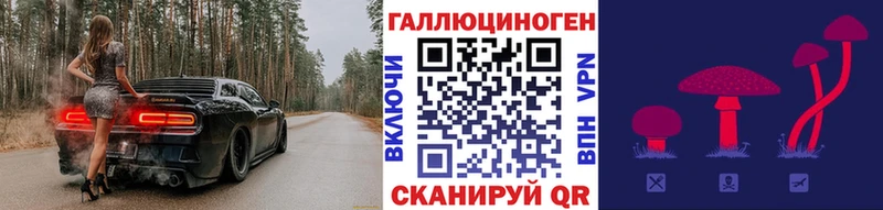 даркнет сайт Кандалакша Галлюциногенные грибы прущие грибы